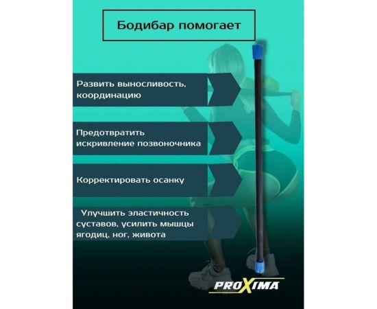 Бодибар Proxima 4 кг, голубой B-ABB-TRP-4K-FBG – изображение 6