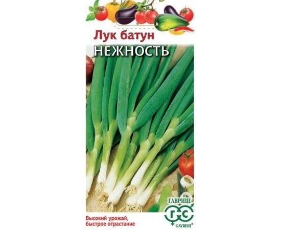 Лук ГАВРИШ батун Нежность 0,5 г 1071856552 