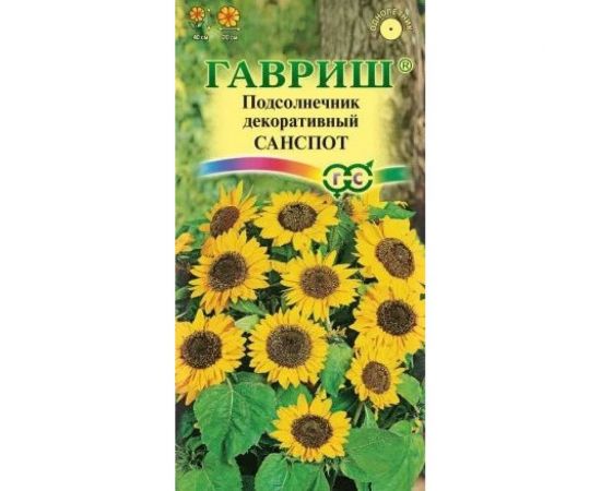 Подсолнечник ГАВРИШ декоративный Санспот карликовый, 0,5 г 4601994 