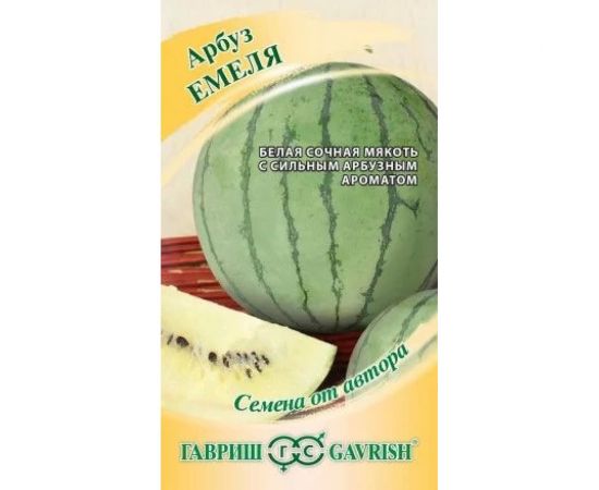 Арбуз ГАВРИШ Емеля 5 шт., с белой мякотью, авторские 1071858471 