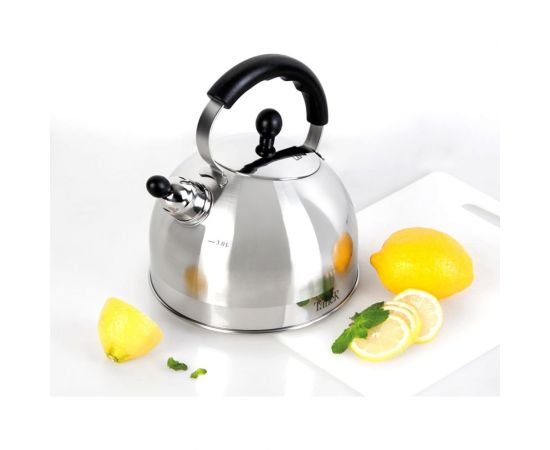 Чайник TALLER Брент со съемным свистком, 3 л, для всех типов плит TR-11344 – изображение 2