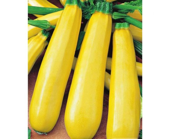 Семена Гавриш Кабачок Желтоплодный 2 г 1371 – изображение 3