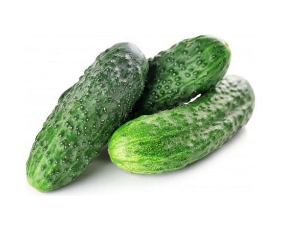 Семена Гавриш Огурец Король грядки F1 0,3 г 10003518 – изображение 3