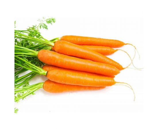 Семена Гавриш Морковь Шантенэ королевская 1 г 1999946088 – изображение 3