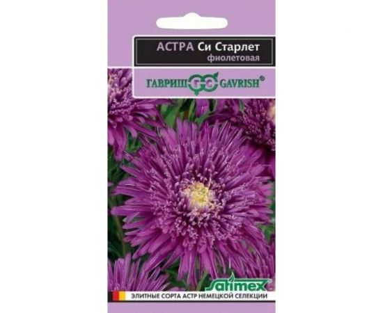 Семена ГАВРИШ Астра Си Старлет Эксклюзив, фиолетовая, однолетняя, 0.05 г 1071856754 
