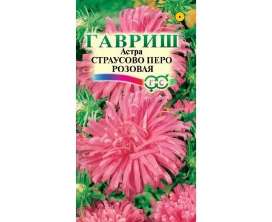Семена ГАВРИШ Астра Страусово перо розовая, однолетняя, 0.3 г 10000544 