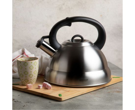 Чайник для всех плит NADOBA BERNA со свистком, 3 л 731102 – изображение 2