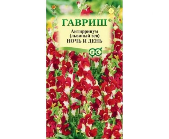 Антирринум Львиный зев ГАВРИШ Ночь и день 0.05 г 1071856901 