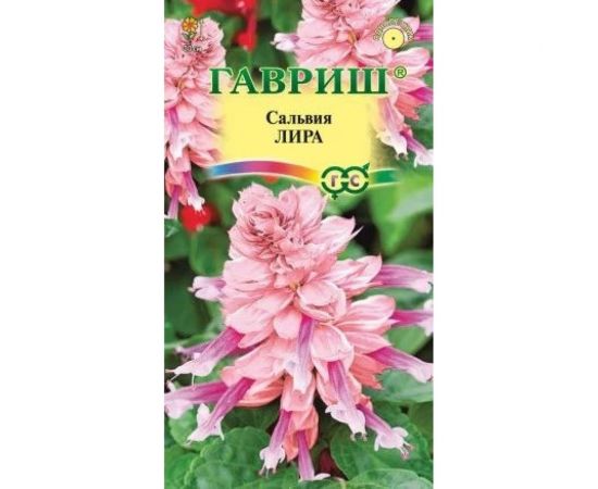 Семена ГАВРИШ Сальвия Лира 4 шт. 1071858183 