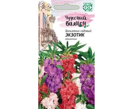 Бальзамин ГАВРИШ Экзотик садовый карлик. 0.1 г Чудесный балкон 10006446 