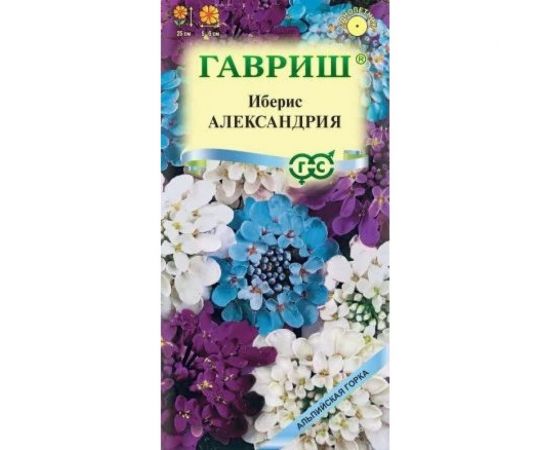 Иберис ГАВРИШ Александрия 0.1 г Альпийская горка DH 1071857687 