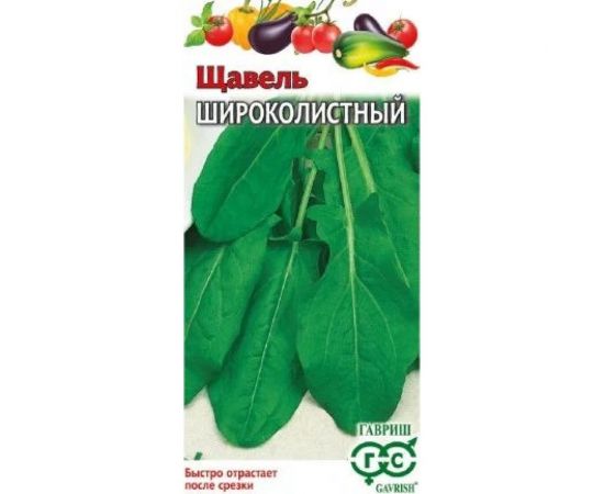 Семена ГАВРИШ Щавель Широколистный 0.5 г 1999949245 