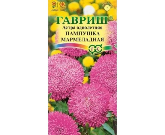 Астра ГАВРИШ Пампушка мармеладная, однолетняя помпонная, розовая 0.3 г 10006539 