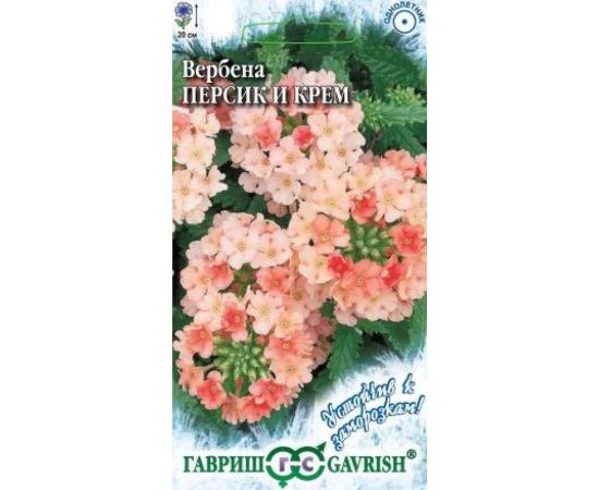 Вербена ГАВРИШ Персик и Крем, гибридная 0.05 г Устойчив к заморозкам 002433 
