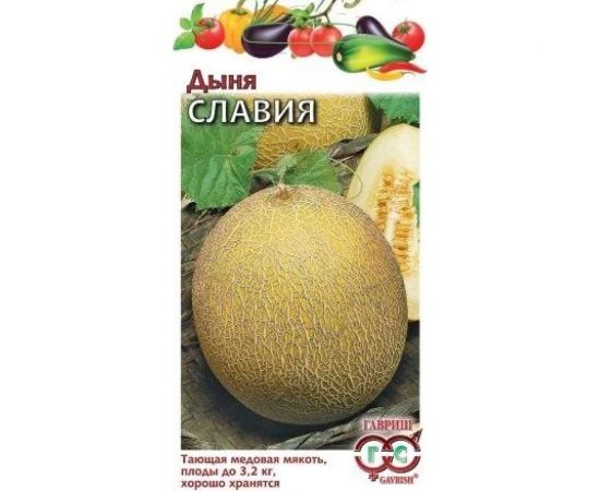 Дыня ГАВРИШ Славия 1 г DH 1999946622 