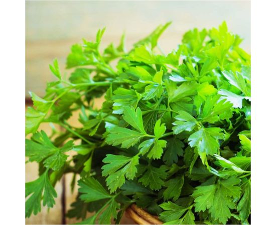 Петрушка листовая ГАВРИШ Бриз 2.0 г 10000804 – изображение 2