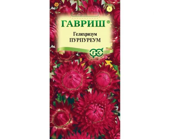 Семена ГАВРИШ Гелихризум Пурпуреум 0.1 г 1071857499 