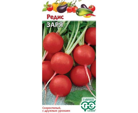 Семена ГАВРИШ Редис Заря 3.0 г 1912236321 