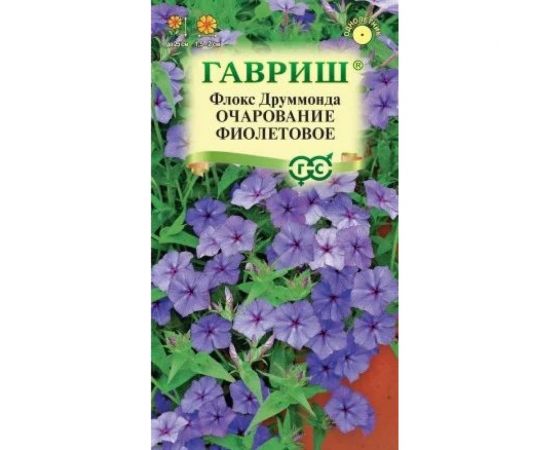 Семена ГАВРИШ Флокс Очарование фиолетовое, Друммонда, 0,05 г 10006744 