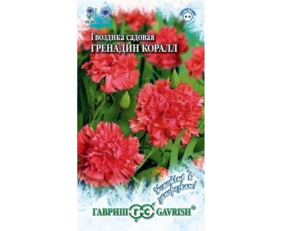 Гвоздика садовая ГАВРИШ Гренадин Коралл, 0.05 г Устойчив к заморозкам 1071857802 