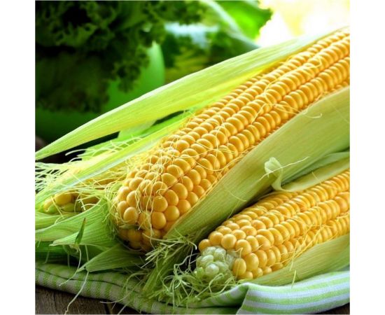 Кукуруза ГАВРИШ Краснодарский сахарный 250 СВ F1 5 г 1378 – изображение 3