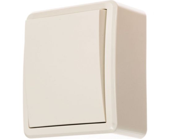 Выключатель ЭРА 11-1201-02 10АХ-250В, IP20, ОУ, Эксперт, слоновая кость Б0020655 – изображение 2