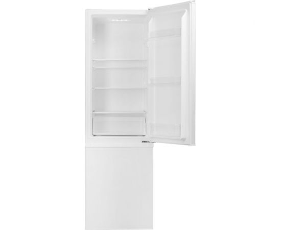 Холодильник Centek белый 262 л (65 л/197 л) 545x552x1775 мм (ДхШхВ) A, 39 дБ CT-1714 – изображение 3