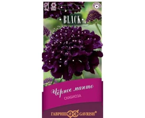 Семена ГАВРИШ Скабиоза пурпурная Чёрное манто, махровая, 0.2 г, серия Блэк 1026995019 