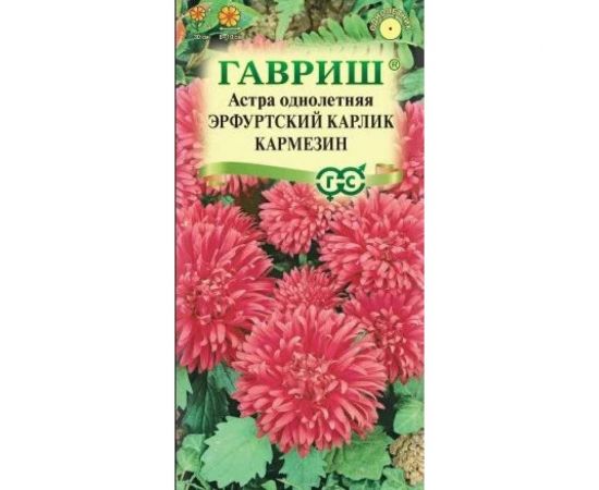 Семена ГАВРИШ Астра Эрфуртский карлик Кармезин, однолетняя (красная), 0,3 г 00001722 