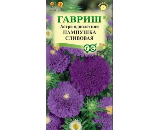 Астра ГАВРИШ Пампушка сливовая, однолетняя помпонная 0.3 г 10006544 