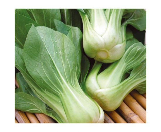 Семена ГАВРИШ Капуста китайская Ласточка 0.3 г 1523 – изображение 2