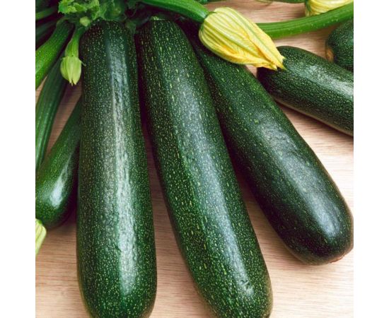 Кабачок цуккини АЭЛИТА Генерал 1г 00-00571331 – изображение 3