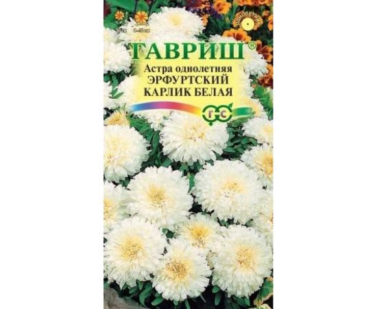 Семена ГАВРИШ Астра Эрфуртский карлик Белая, однолетняя, 0.3 г 001129 