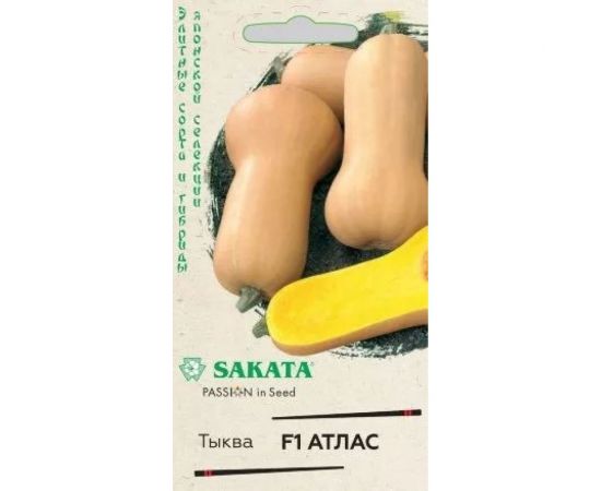 Семена ГАВРИШ Тыква Атлас, мускатная 5 шт Саката 1912236346 