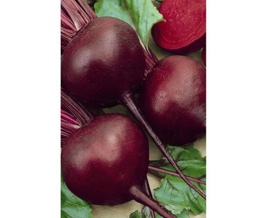 Свекла АЭЛИТА столовая Смуглянка 3г 00-00572241 – изображение 2