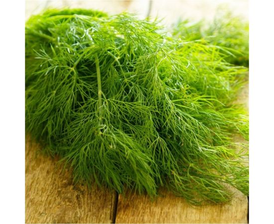 Укроп АЭЛИТА Душистый пучок 3г в пакете 00-00569699 – изображение 2