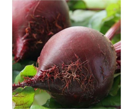 Семена Свекла АЭЛИТА столовая Цыганочка 3г в пакете 00-00569624 – изображение 3