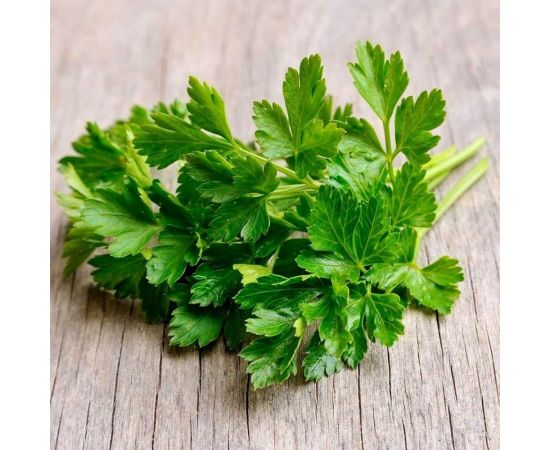 Петрушка АЭЛИТА листовая Бутербродная 2г 00-00572027 – изображение 3