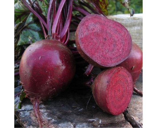 Свекла АЭЛИТА столовая Бычья кровь 2г 00-00569612 – изображение 3