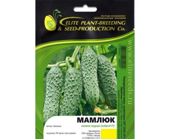 Мамлюк F1 семена огурца 20 шт ЭС мини ELITE PLANT-BREEDING & SEED PRODUCTION Co. 1999942832 
