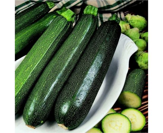 Кабачок цуккини АЭЛИТА Цукеша 2г 00-00571722 – изображение 2