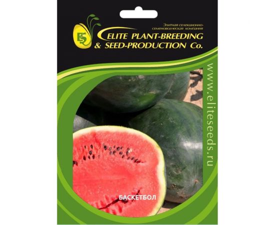 Баскетбол семена арбуза 20 шт ЭС мини ELITE PLANT-BREEDING & SEED PRODUCTION Co. 1999942838 