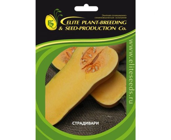 Страдивари семена тыквы 20 шт ЭС мини ELITE PLANT-BREEDING & SEED PRODUCTION Co. 1999943788 