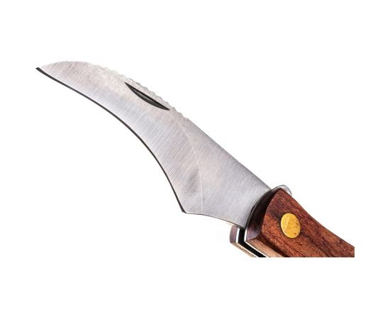 Нож грибника МУЛЬТИДОМ со щеточкой, деревянная ручка AN84-127 – изображение 6