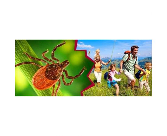 Средство от муравьев и клещей Zarit истребитель дюшес 10 мл зафизан зарит 133839 – изображение 2