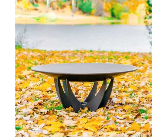 Костровой очаг FIRE-HOUSE олимпия-2 KO-840олимпия – изображение 2