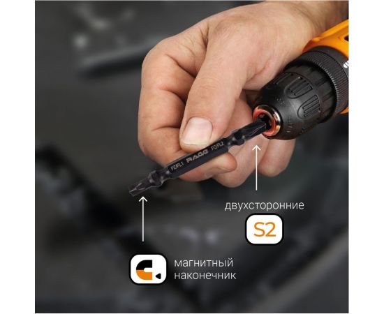 Биты магнитные двухсторонние S2 PZ/FL1 x PZ/FL2, 65 мм, 2 шт rage by VIRA 554140 – изображение 4
