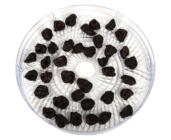 Дегидратор OURSSON DH2302D/GA Зеленое яблоко – изображение 9