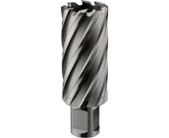 Фреза кольцевая HSS (26x55 мм; Weldon 19) ROTORICA RT.4215026 