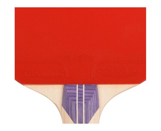 Ракетка для настольного тенниса Krafla HOBBY200 KFL-AQR-H200 – изображение 8